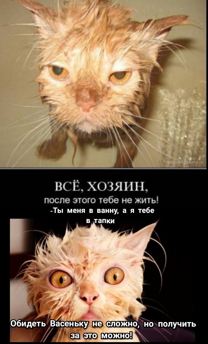 ВСЁ ХОЗЯИН ПОСПЭ ЭТОГО тебе не ЖИТЬ Ты меня в ванну а я тебе