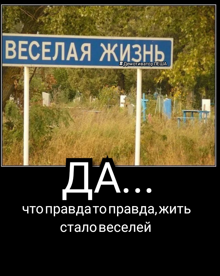 ДемотиваторПЁША Д что правда то правдажить стало веселей