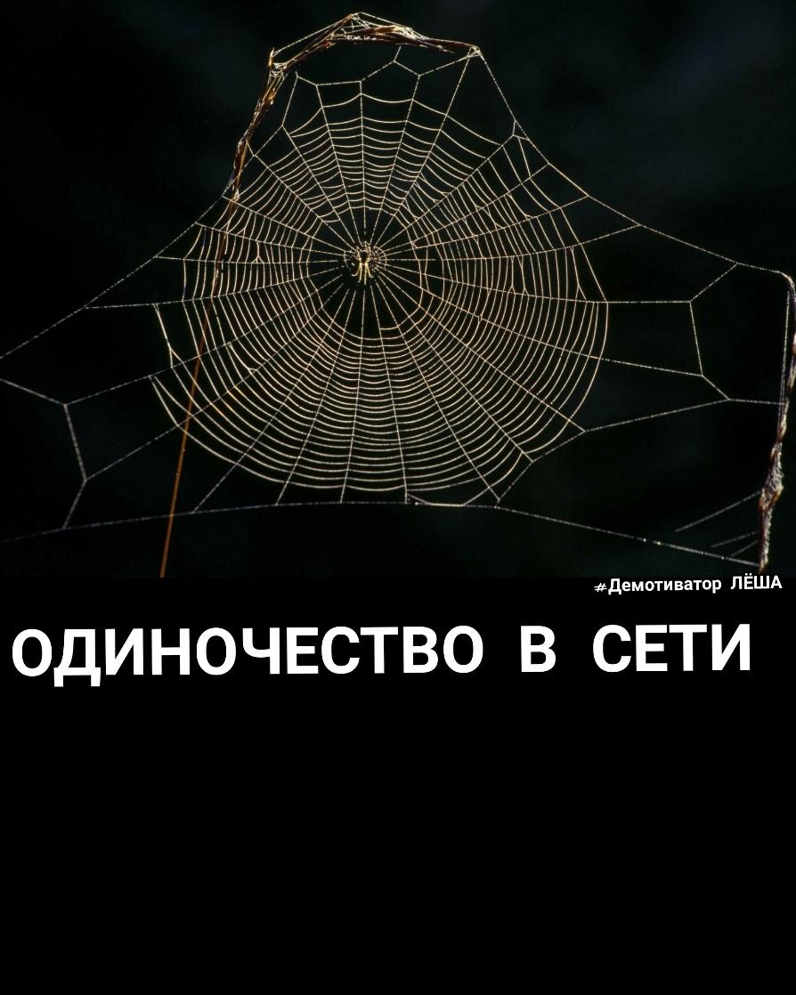 демоти ватор ЛЕША ОДИНОЧЕСТВО В СЕТИ