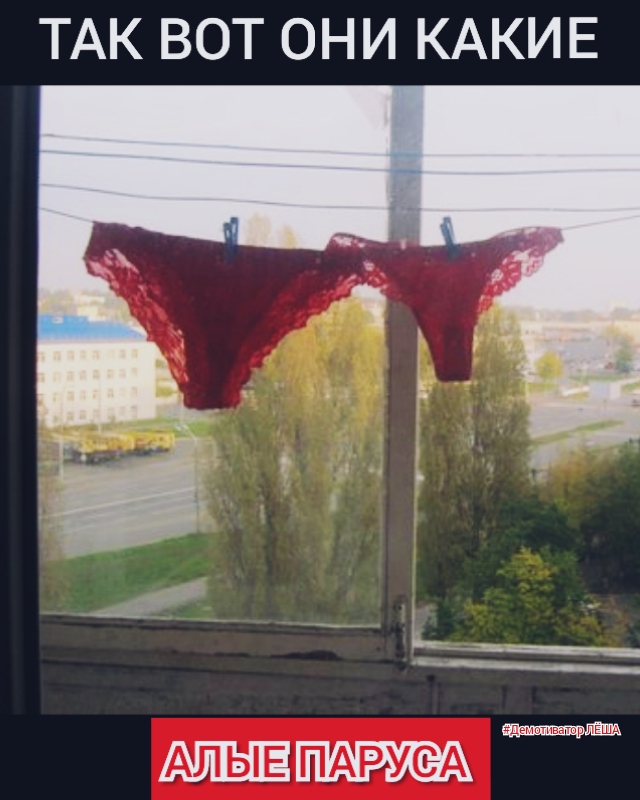 ТАК ВОТ ОНИ КАКИЕ АЛЫЕ ПАРУСЁА