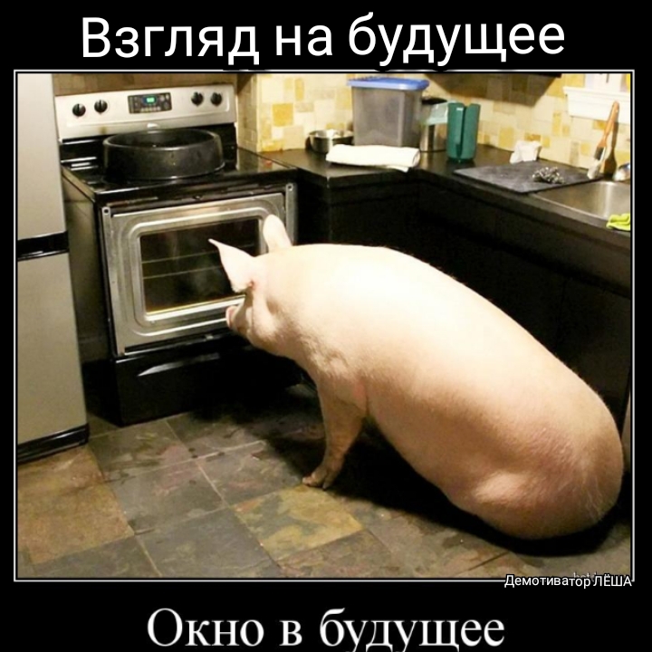 Взгляд на будущее __ и Ц СЦП ь__ демотивайдіпёшд Окно в будущее
