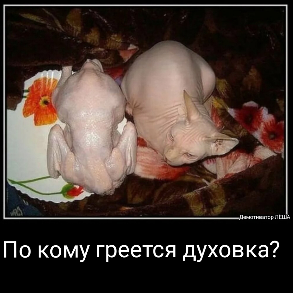 По кому греется духовка