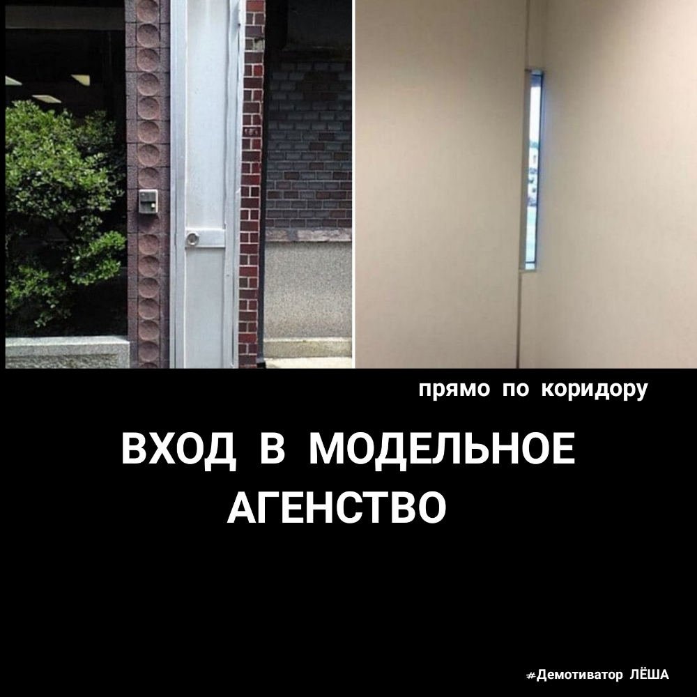 прямо по коридору ВХОД В МОДЕЛЬНОЕ АГЕНСТВО демоти ватор П ЁША