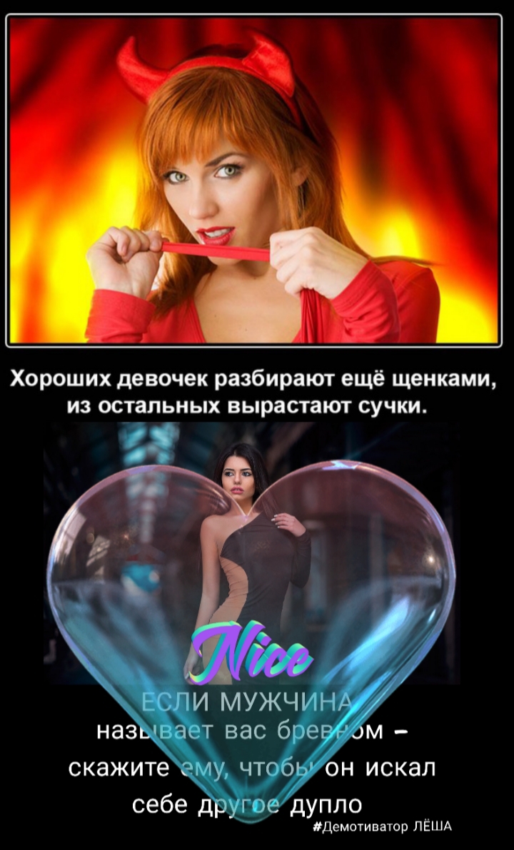 Хороших девочек разбирают ещё щенками из остальных вырастают сучки