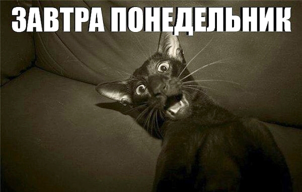 ЗАВТРА ПОНЁДШЬНИН д на О