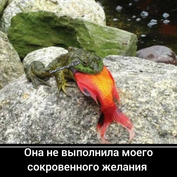 чё _ Она не выполнила моего сокровенного желания