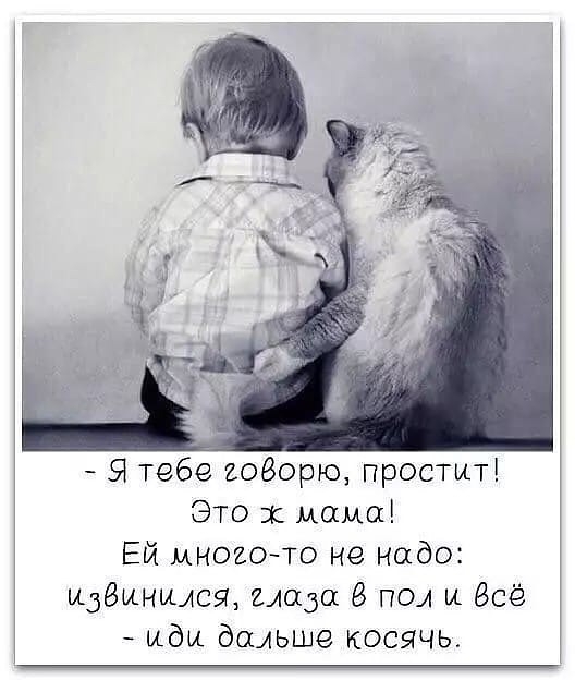 91 тебе иоворю простит Это 1 мама Ей многото не надо людинися надо 8 пол и Всё иди дальше косячь