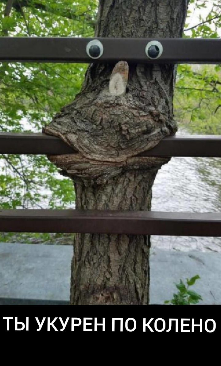 ТЫ УКУРЕН ПО КОЛЕНО