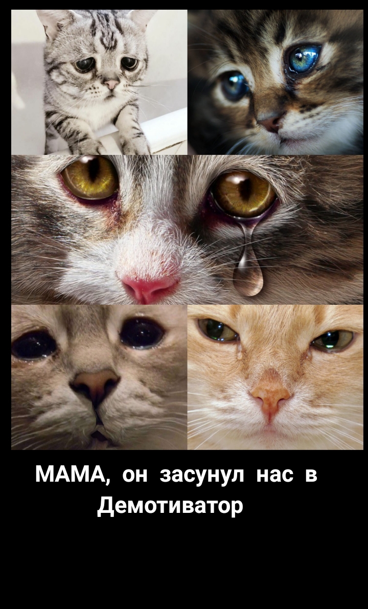 МАМА он засунул нас в демотиватор