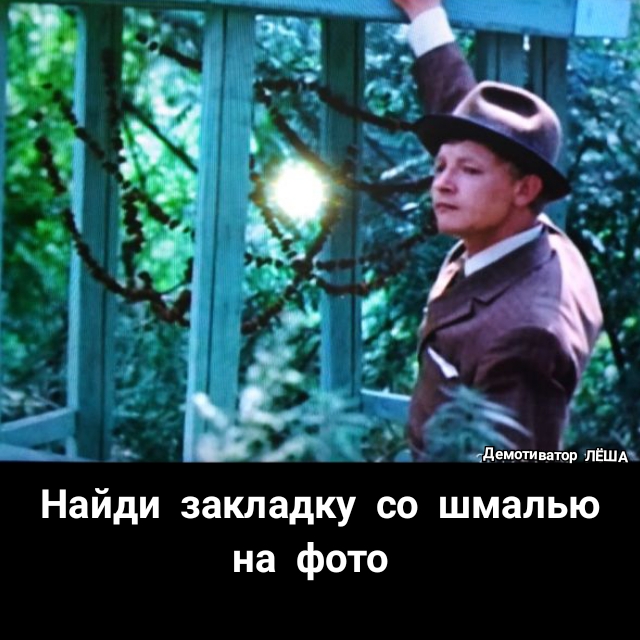 Найди закладку со шмалью на фото