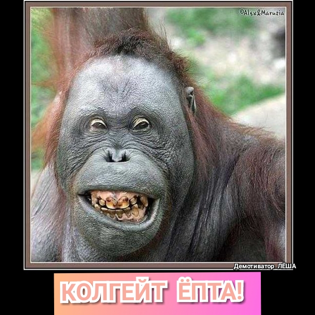 ЧМид