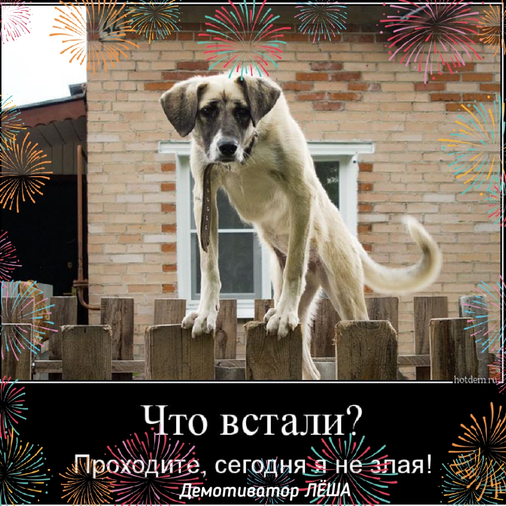 ЁЁііііі то встали __Проід сегадыяёнесъаЯ двмотиёідл ЕЁ