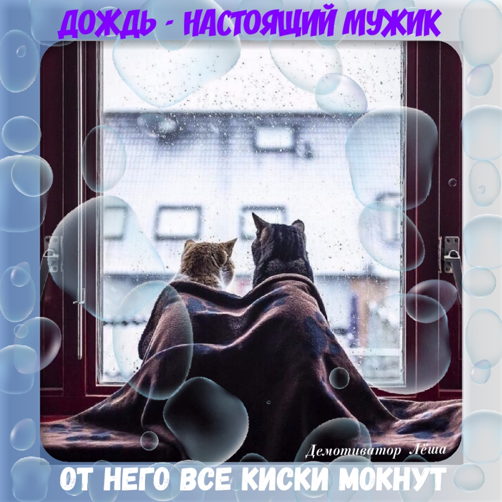 и м__ _ Наши в тор