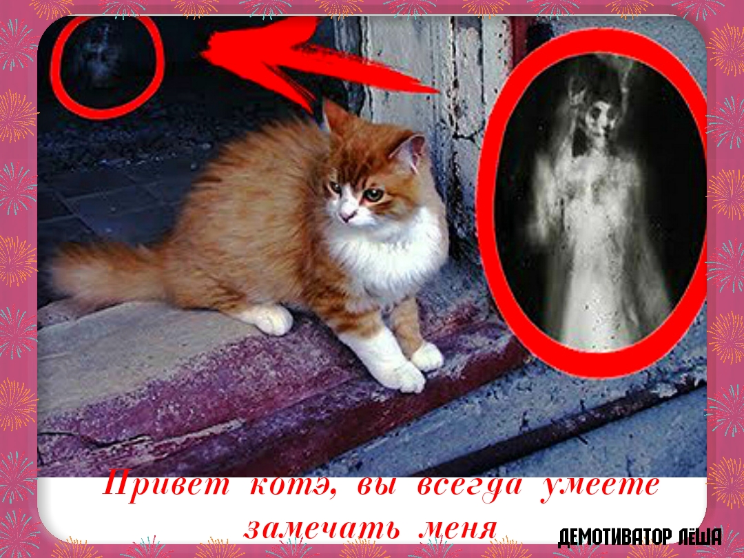 3РЧППЬ РНЯ