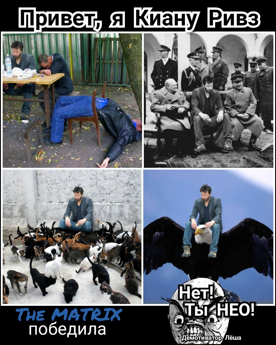 победила