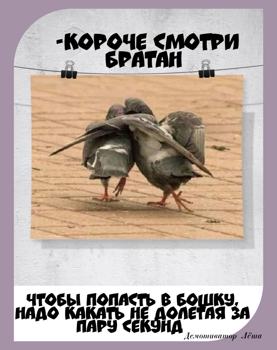 РОЧ М И БРЕТАН ЧТОБ ИПА В 50 КВ НАО Пді ОПДЕШАЯ ЗА юр Леша