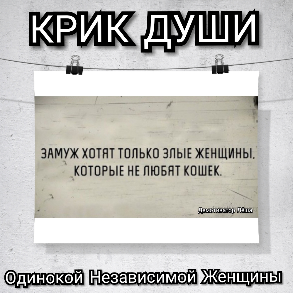 КРИК дьуши здмуж хотят топько зпыв жвншины КОТОРЫЕ НЕПЮБЯТ КОШЕК динокой Независимой
