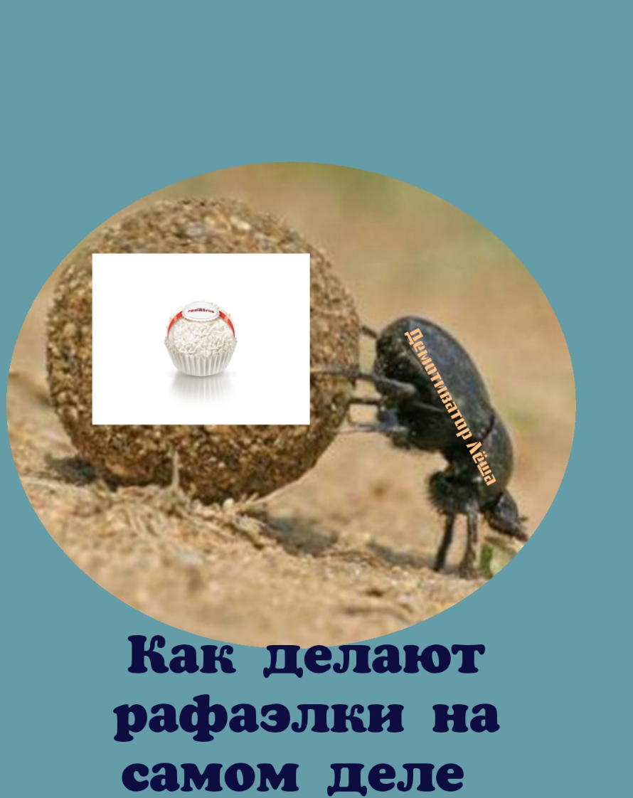 Как делают рафаэлки на самом деле