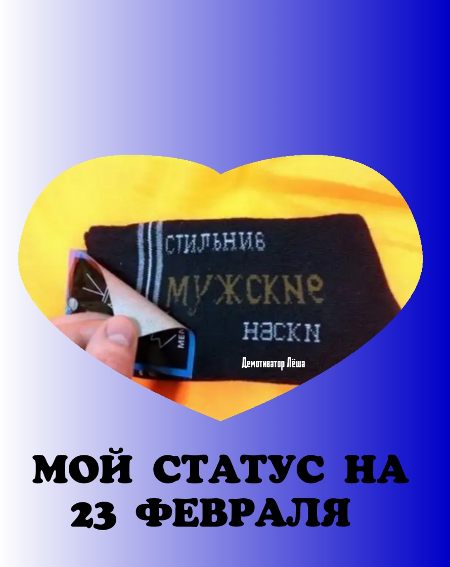 мой синус нА 23 ФЕВРАЛЯ