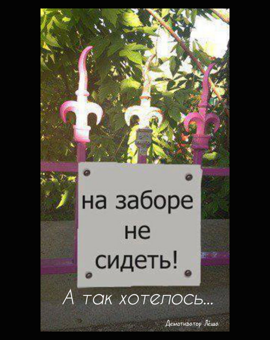 А ТОК хотелось Демтивптир Лёша