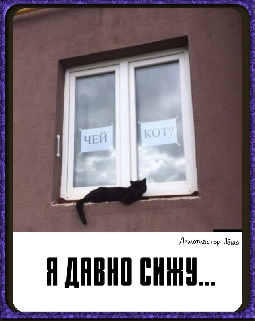 Демотивтор Лёша НШШНП ШШШ