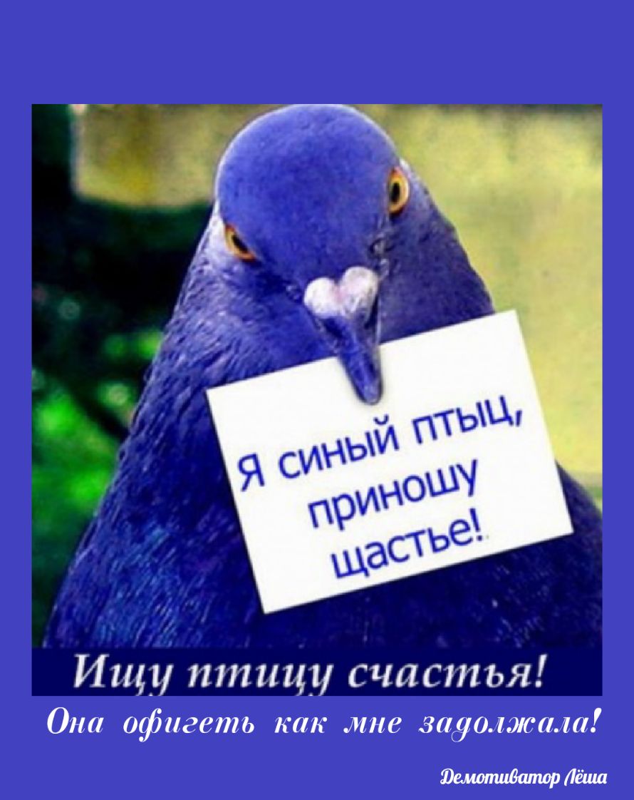 Я синий птиц приношу счастье