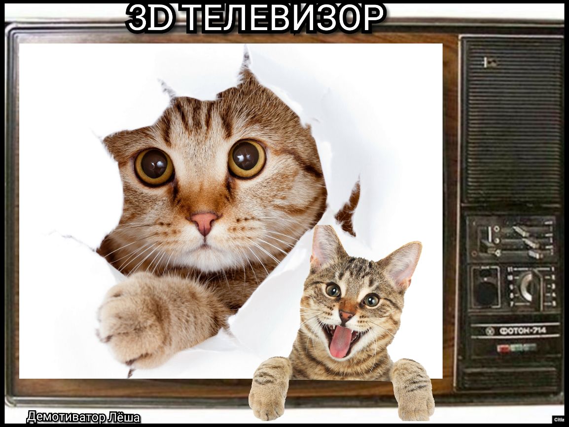 ___ _ЗЕЁТЁЕЛЕвизр Р