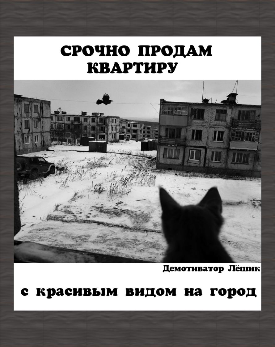 СРОЧНО ПРОДАМ КВАРТИРУ А демошатор Лёшик КРЗСИВЬПМ видом на ГОРОД