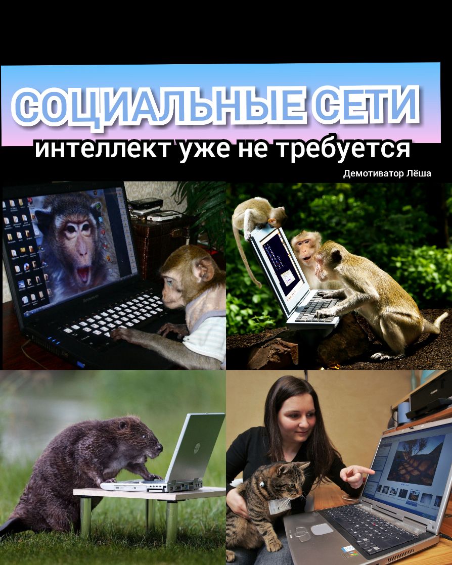 ект уже не требуется демотиватор Лёша
