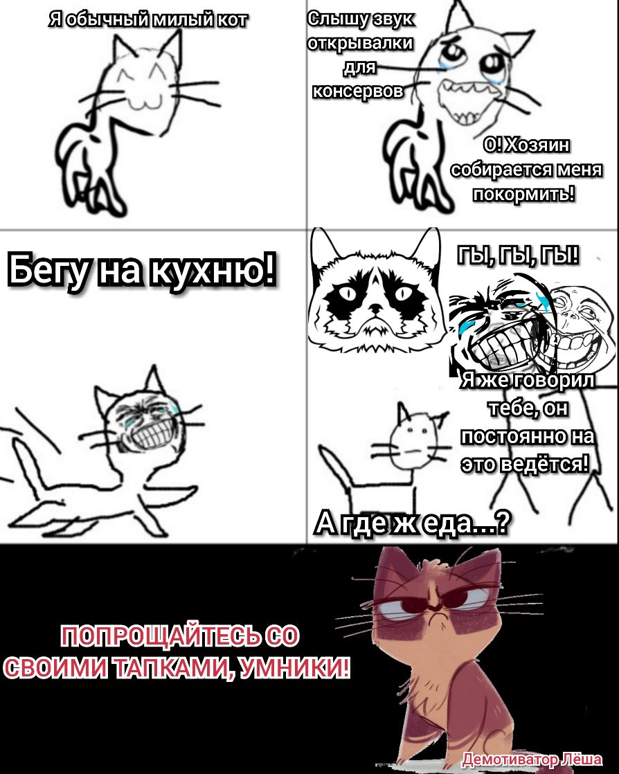 сц