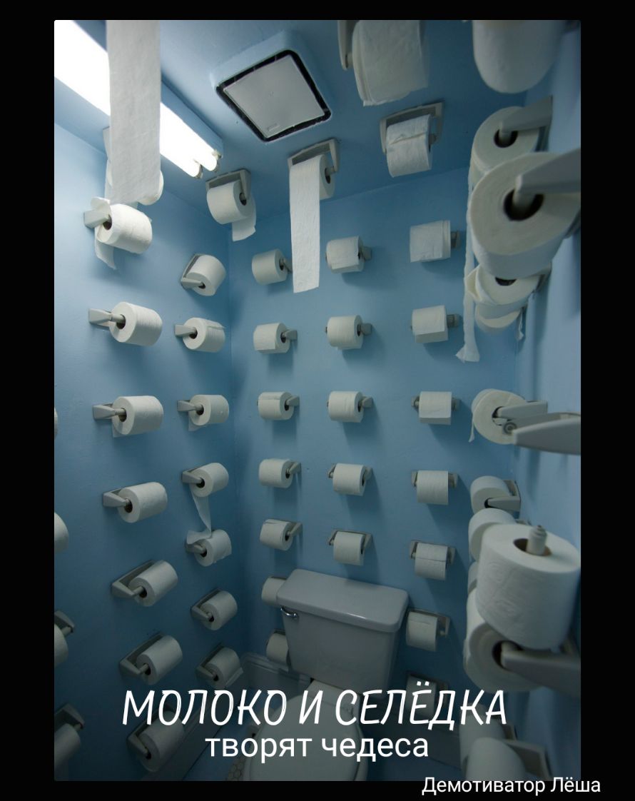 молоксвЕлЁц творят чедеса Дем атор Лёша