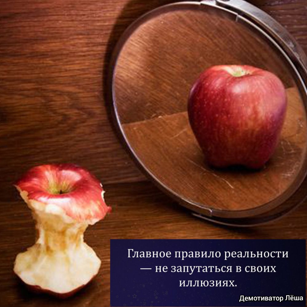 Главное правило реальности _ не ЗЭПУТЗТЬСЯ В СВОИХ ИЛЛЮЗИЯХ демотиватор Лёша