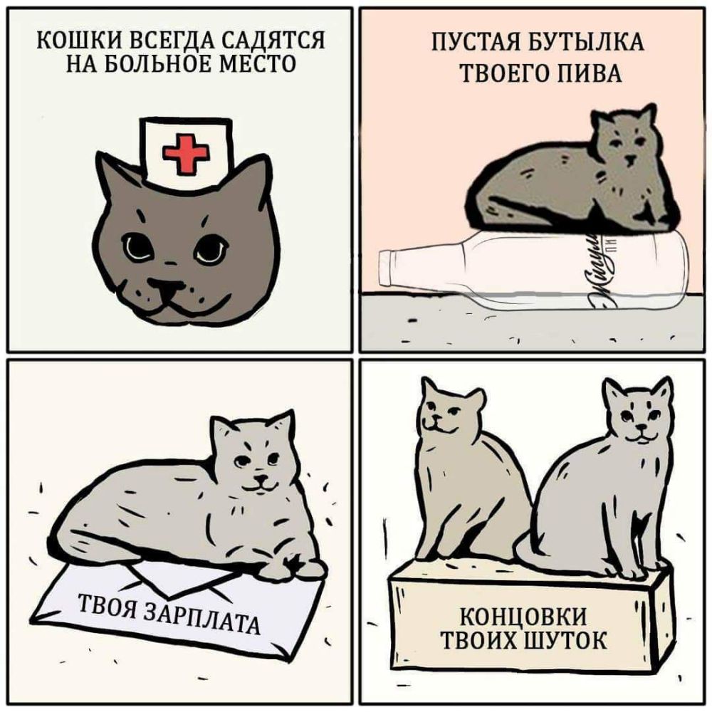 Твое место карта
