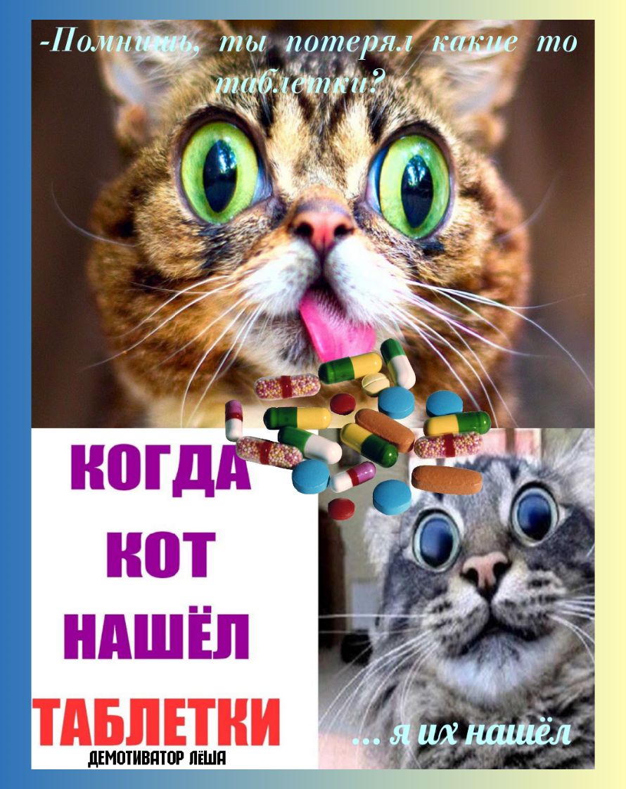ты пртерл ТАБЛЕТКИ дЕМЩИВдТШ ЯЁШП