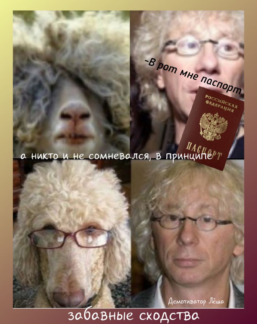 у Лм НИП Не СОМНСБдЛСЯВ принцийе за сВНЫе сходств