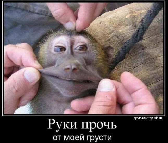Руки прочь от моей грусти