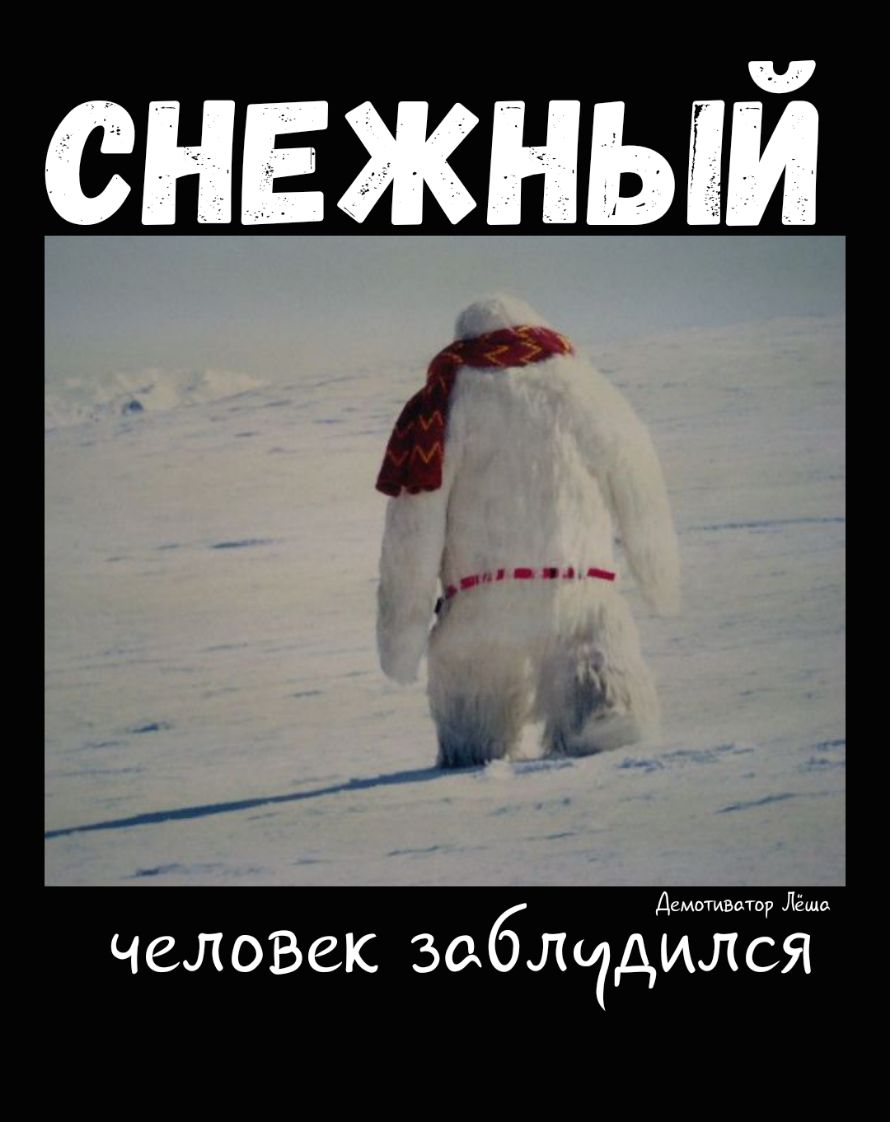 снежный емотвдтпр Лёша д чвлозек заблчдился