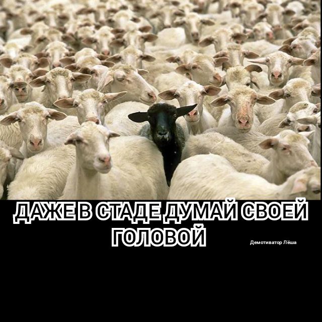 всм ГФЛЁВОЙ