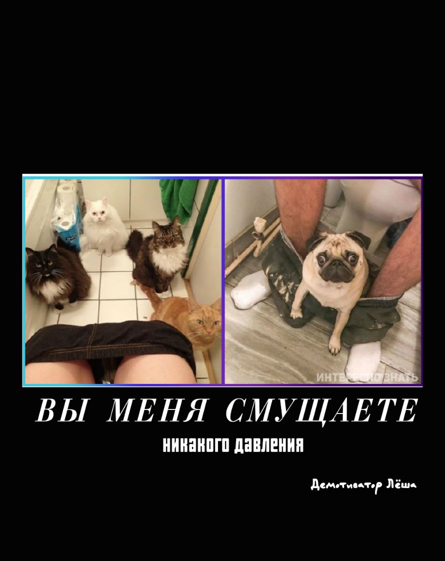 ВЬ МЕНЯ СМУЩАЕТЕ НИНШШГП ЛИШЕНИЯ Демки т Лёш