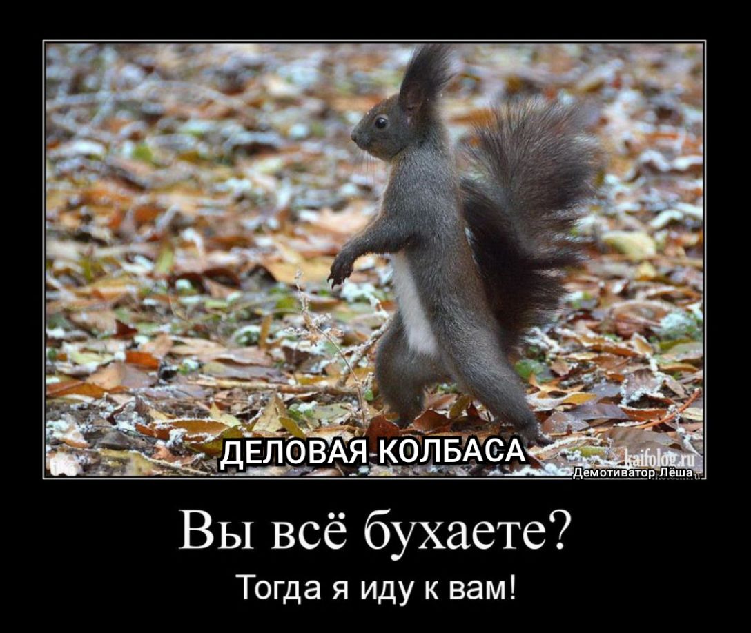 _ 1__7 тіы _ ЧДЕЛОВАСА демотивтопдіещдг Вы всё бухаете Тогда я иду к вам