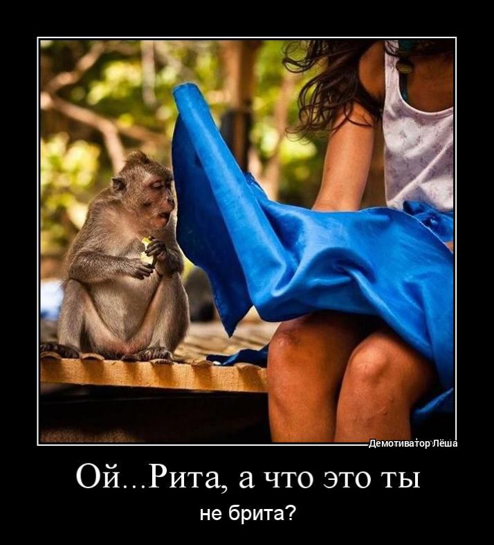 Рита что это ты Ой не брита