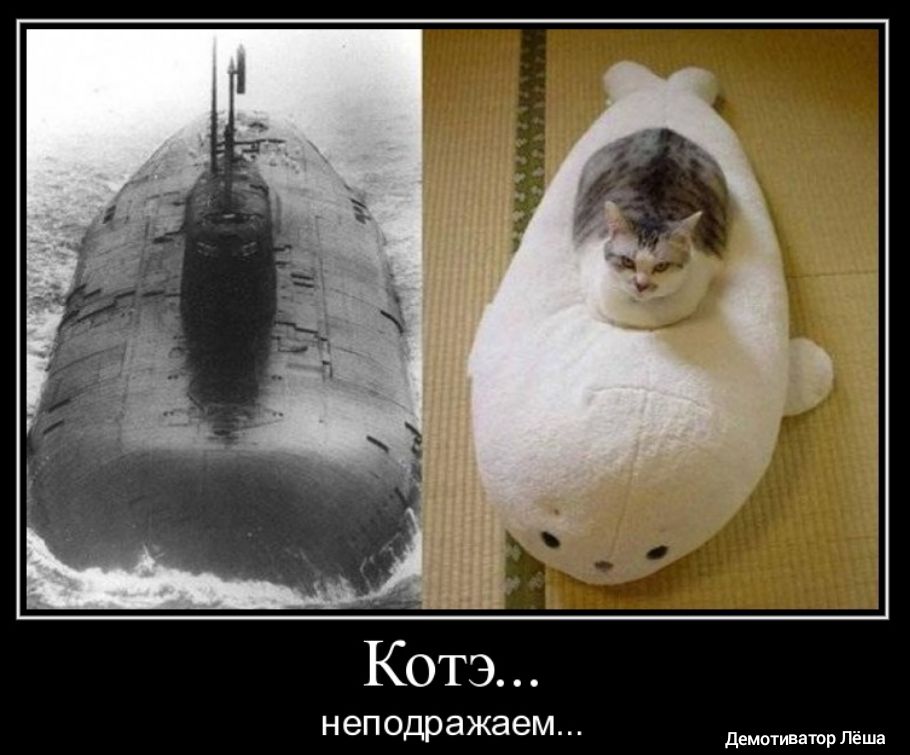 Котэ неподражаем демотиватор Лёша