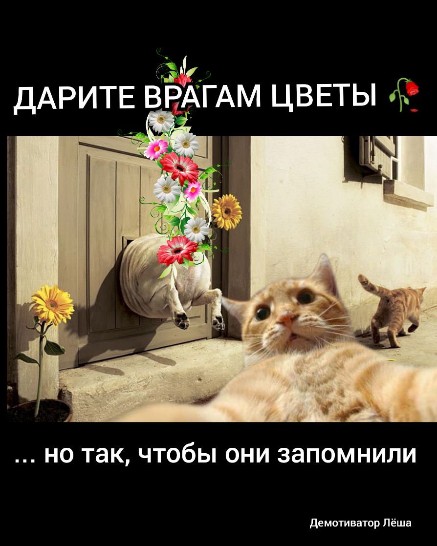 ДАРИТЕ ВЁАГАМ ЦВЕТЫ НО так ЧТОбЫ ОНИ ЗЭПОМНИЛИ Демотиватир Лёша