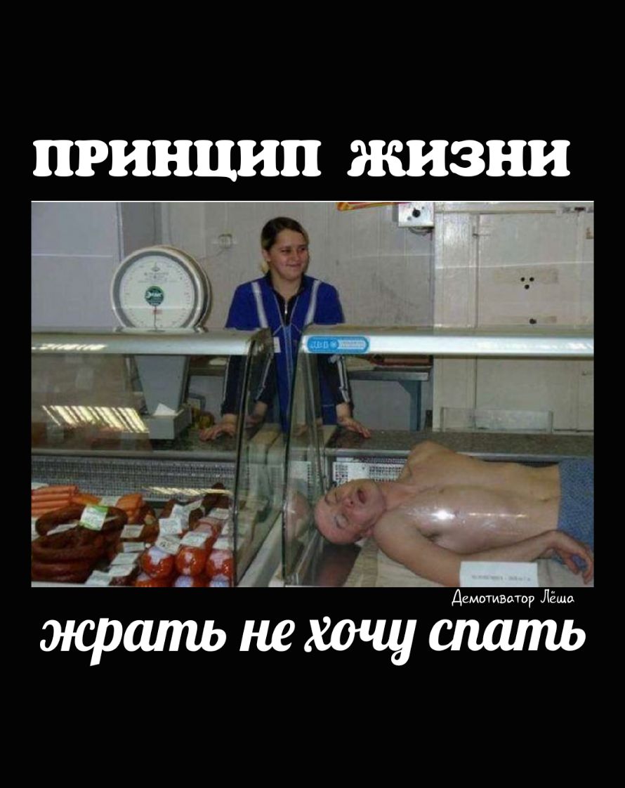 ПРИНЦИП ЖИЗНИ