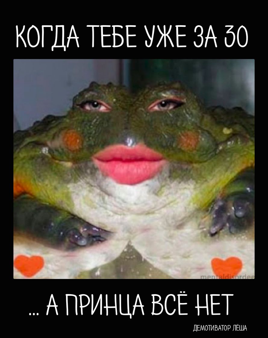 КОГДА ТЕБЕ УЖЕ ЗА 50 А ПРИНЦА ВСЁ НЕТ
