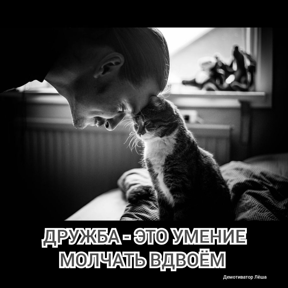 ДРУЖБА пп УМ ЕН И Е МОЛЧАЧТЬ ВДВФЁМ