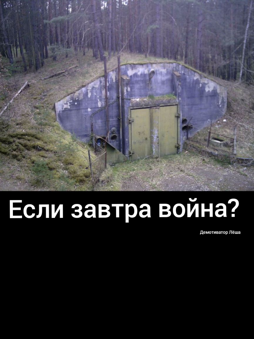 Если завтра война демотиигор Лёша