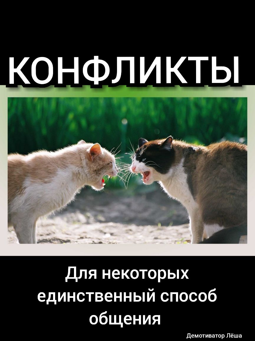 конфликты Для некоторых единственный способ общения Демотиватор Лёша