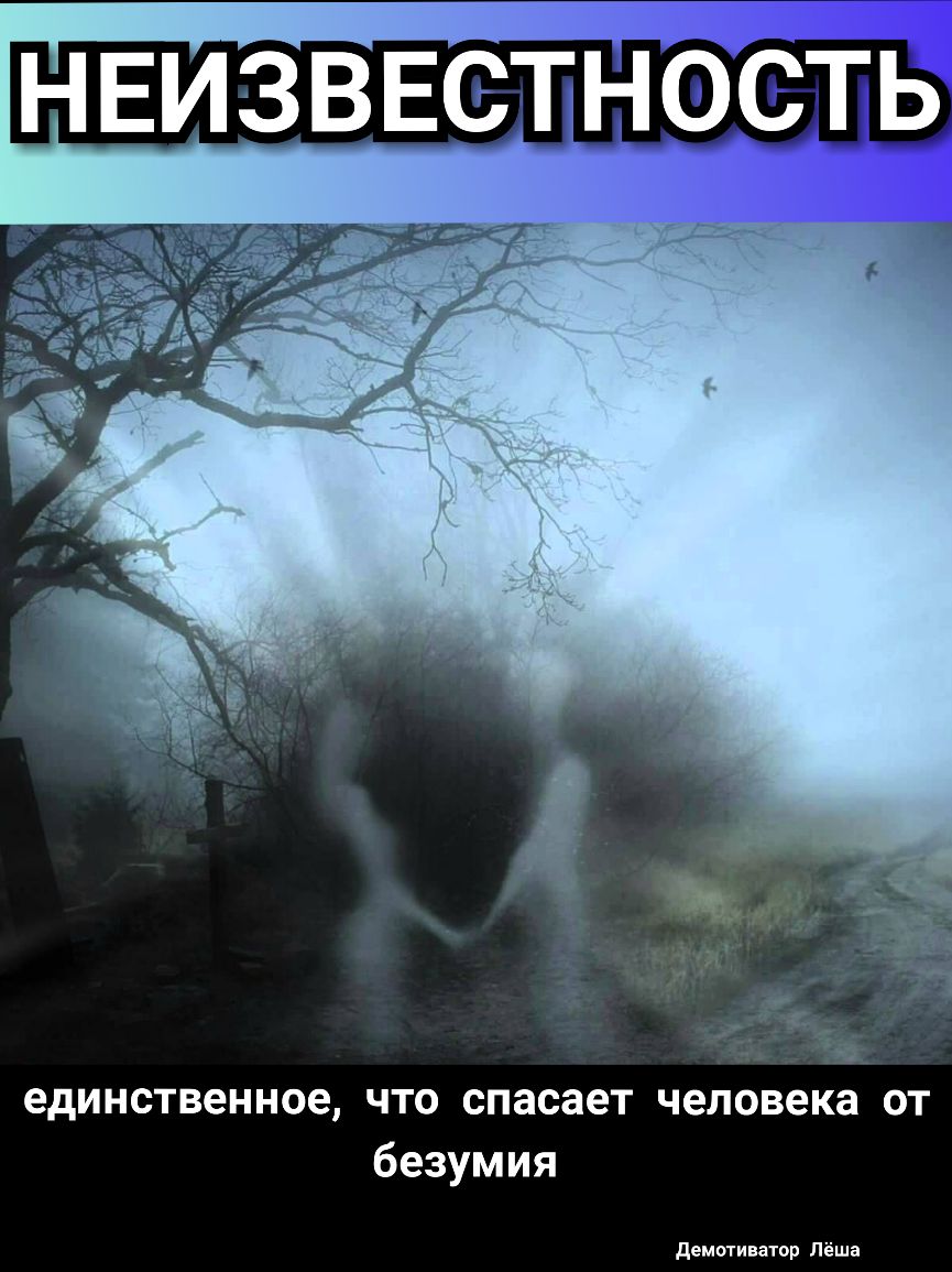 НЕИЗВЕСТНОСТЬ единственное что спасает человека от безумия демотиватор Лёша