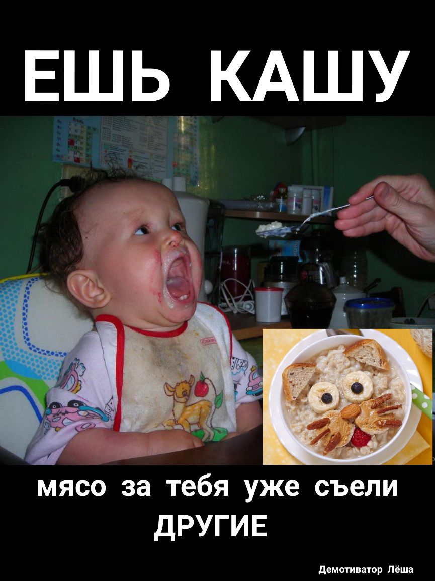 ЕШЬ КАШУ мясо за тебя уже съели ДРУГИЕ демптиватпр Лёша